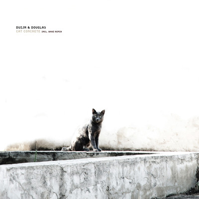 Cat Concrete