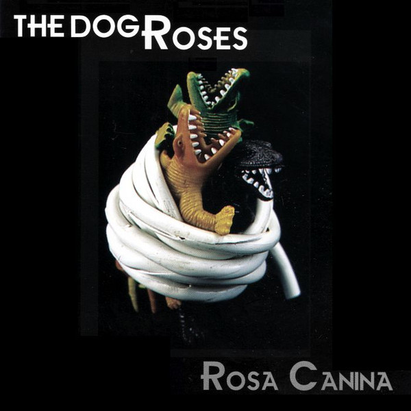 Rosa Canina