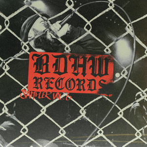 BDHW Rec. Sampler Vol. 6