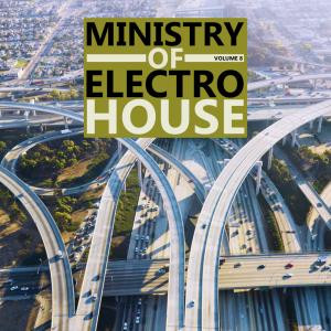 Ministry Of Electro House Vol.8