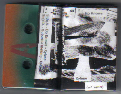 Xylene (W/ Remix)