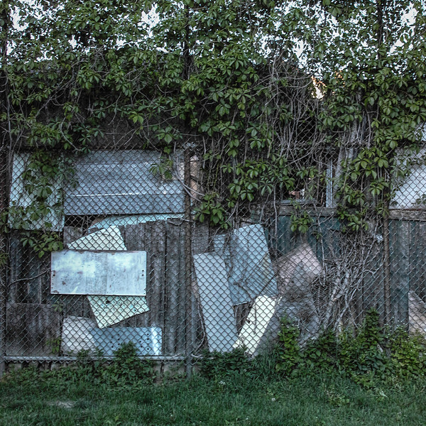 Shed Metal