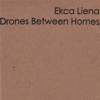 Drones Between Homes