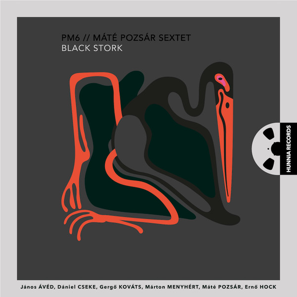 Black Stork