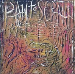 Xiphiidae / Pan To Scratch