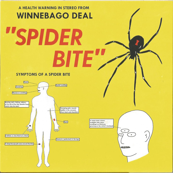 Spider Bite