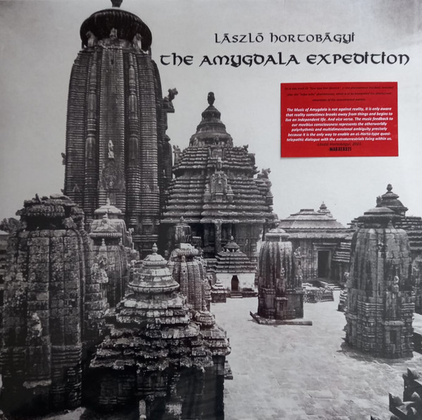 The Amygdala Expedition