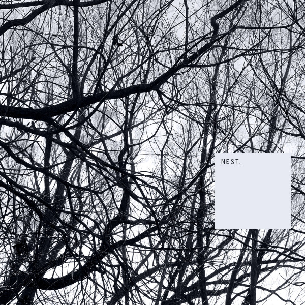 Nest.