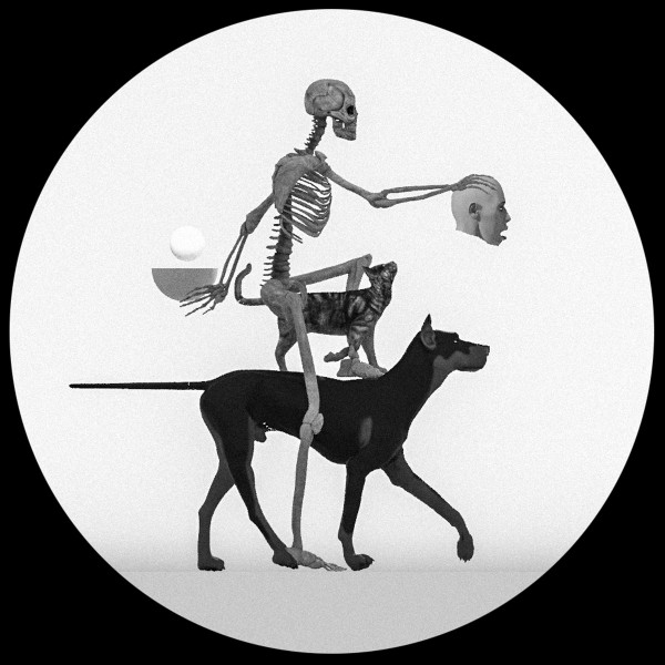 Bright Skull from Borrowed Dreams (808 Day 2019)