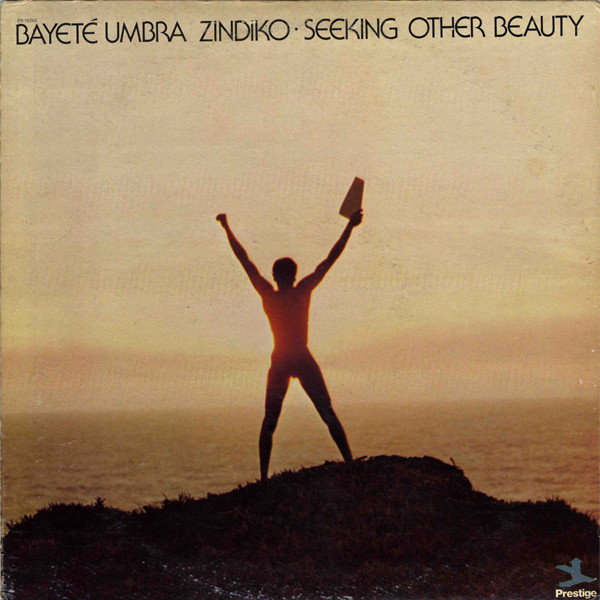 Seeking Other Beauty