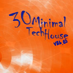 30 Minimal Tech House Vol. 05