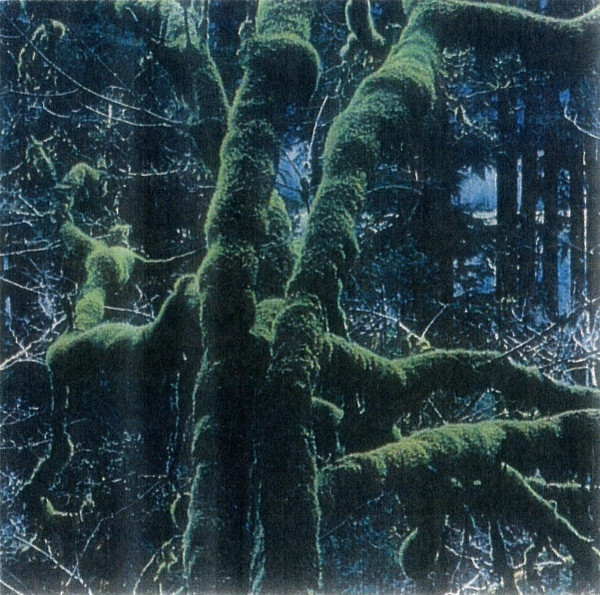 Plays Overgrown Forest II