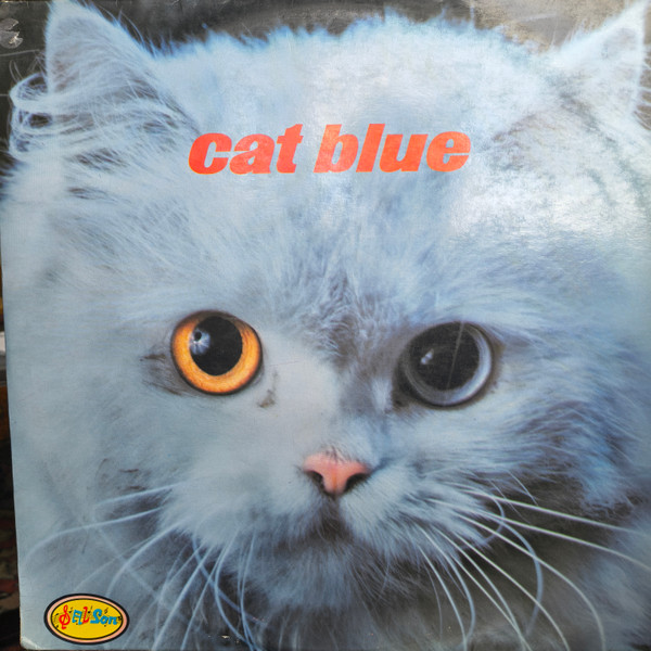 Cat Blue 