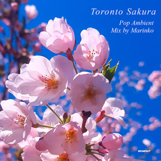 Toronto Sakura (Pop Ambient Mix)
