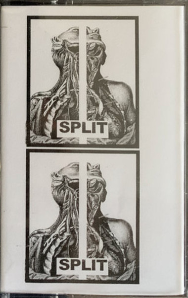 Split