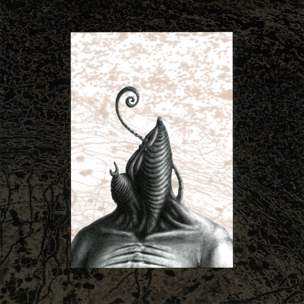 An Uncertain Animal, Ruptured; Tissue Expanding In Conversation