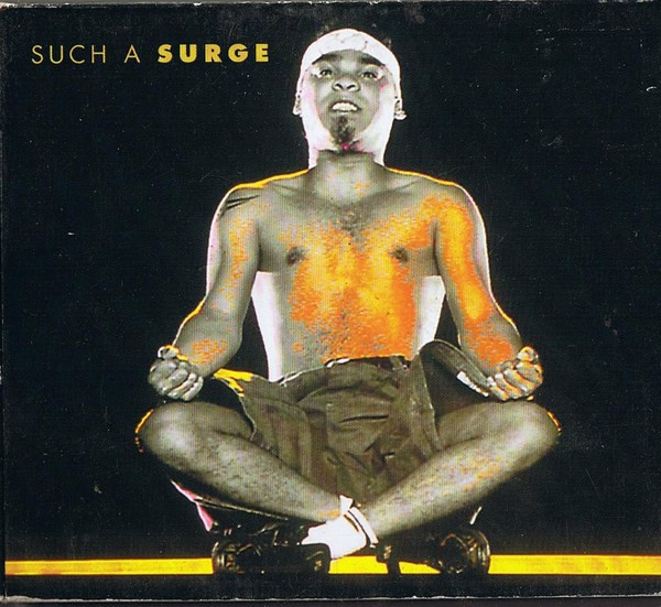 Such A Surge (Danke)