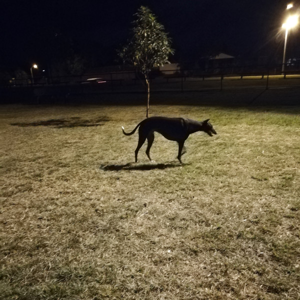 Evenings In The Park With Charles (Part 3)