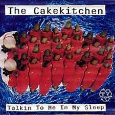 Talkin To Me In My Sleep