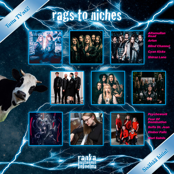 Rags To Niches
