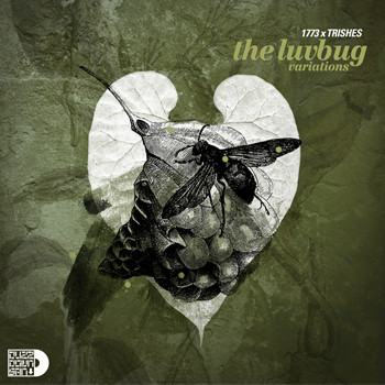 The Luv Bug Variations