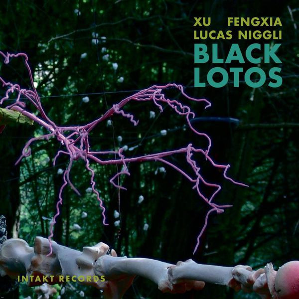 Black Lotos