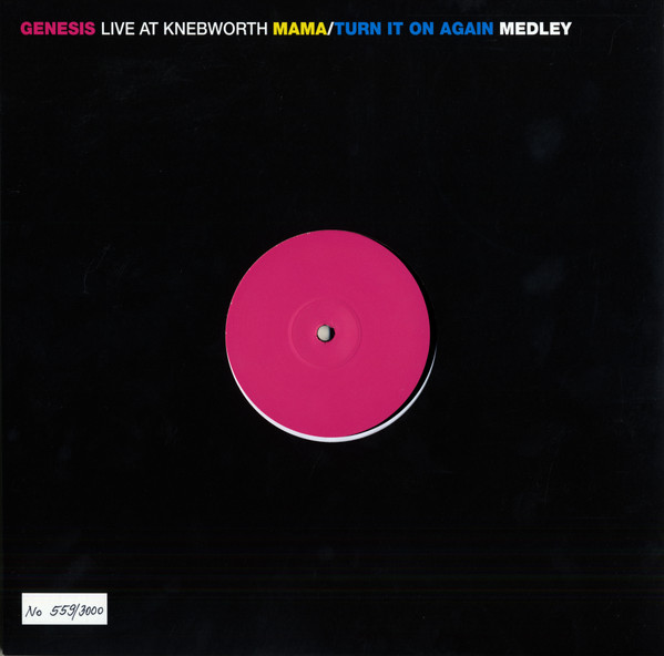 Live At Knebworth 