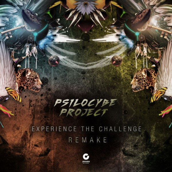 Experience The Challenge (Remake)