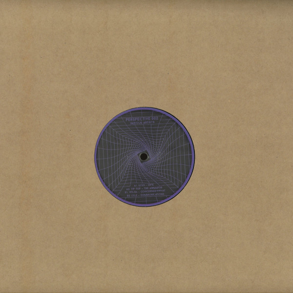 Perspective 002