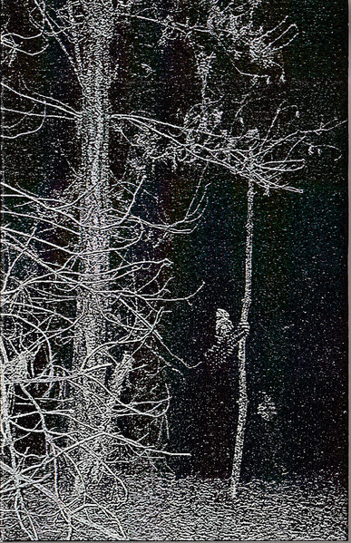 Revelation of Forgotten Silence