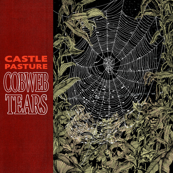 Cobweb Tears