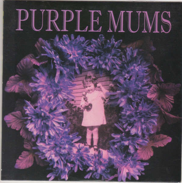 Purple Mums