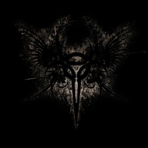 We The Fallen
