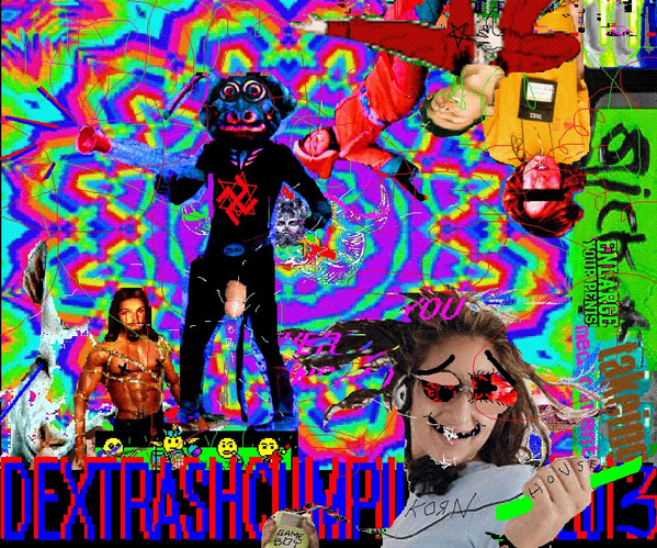 Dextrashcumpilation2013