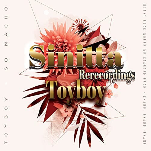 Toyboy (Rerecorded)