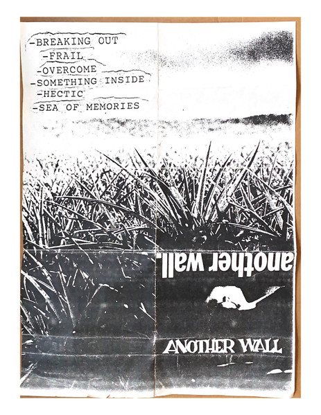 Another Wall
