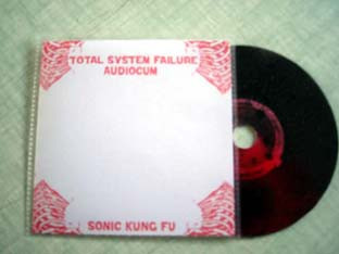Sonic Kung Fu