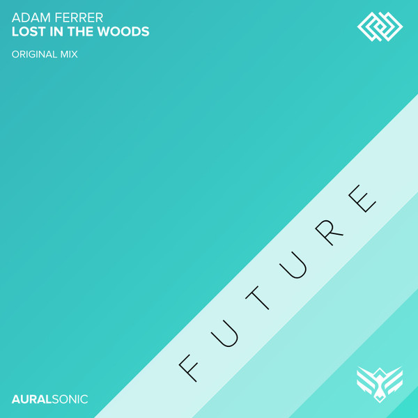 Lost In The Woods
