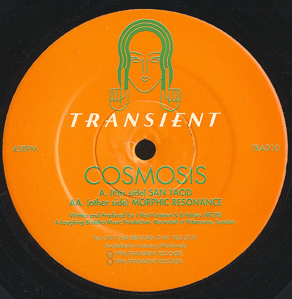 Sanyacid / Morphic Resonance
