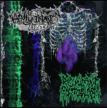Hallucination Realized / Redundant Protoplasm