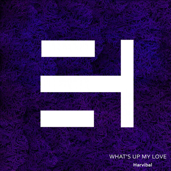 What's Up My Love