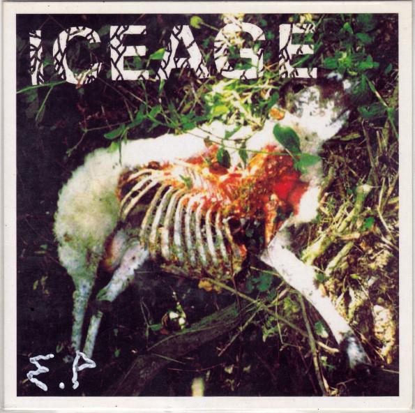 Iceage