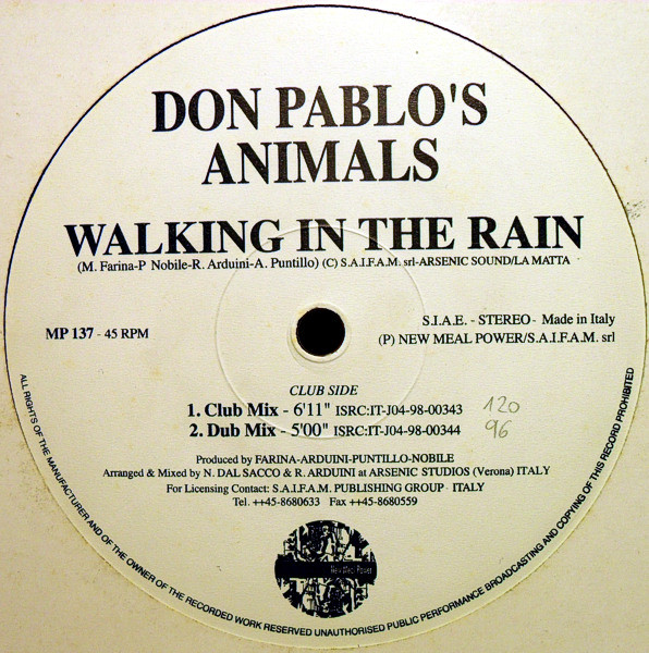 Walking In The Rain