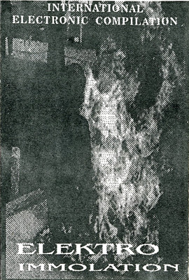 Elektro-Immolation