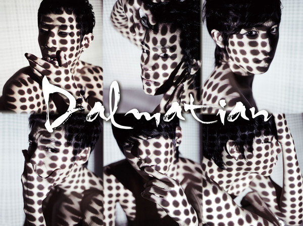 Dalmatian