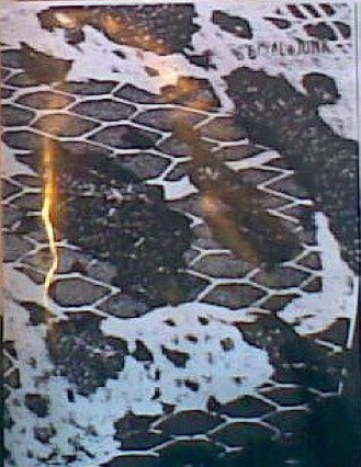 Mirror Landscape