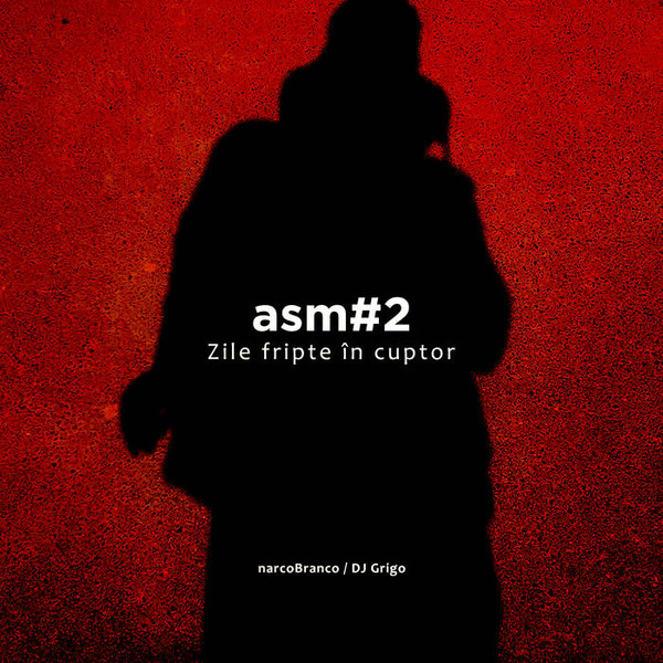 ASM#2 - Zile fripte în cuptor
