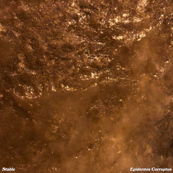 Epidermis Corruptus