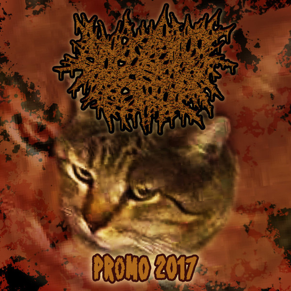 Promo 2017
