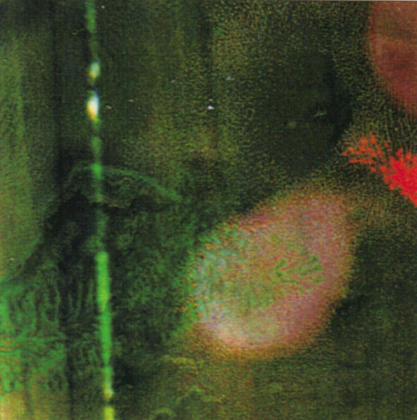 Dispel Space-Time Lust